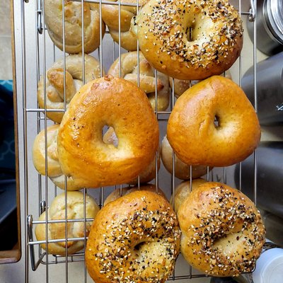 Everything Bagel Seasoning Bagels 