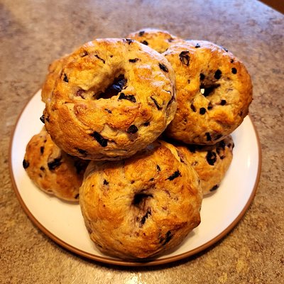 Blueberry Sourdough Bagels
