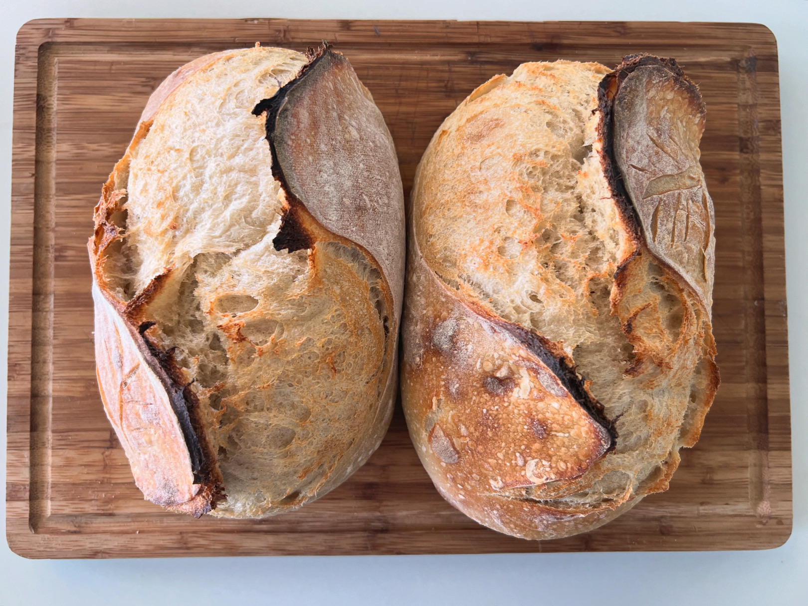 Organic Sourdough Loaf WITH Inclusions 