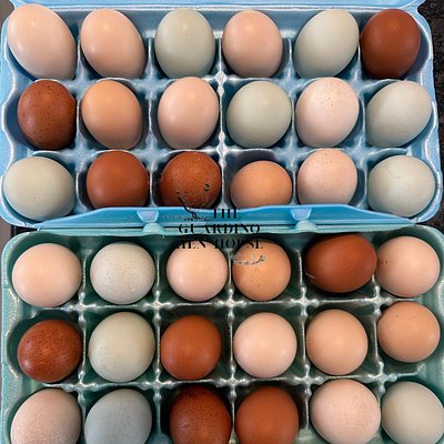 Half Dozen Eggs - Washed