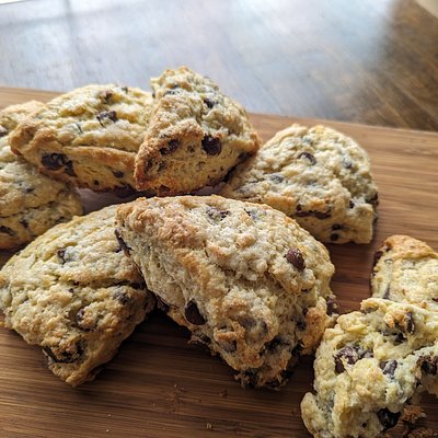 Chocolate Chip Sourdough Scones--x4