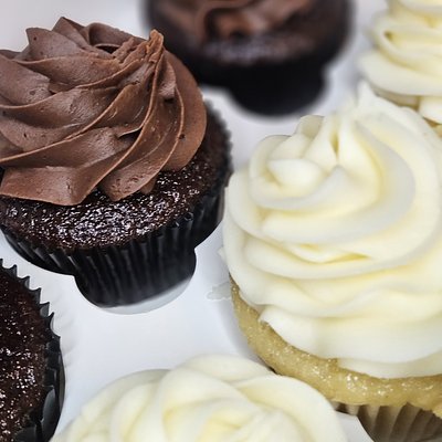 Classic Cupcakes (6-Pack)